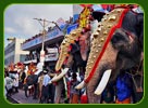 Elephant Festival, Thrissur